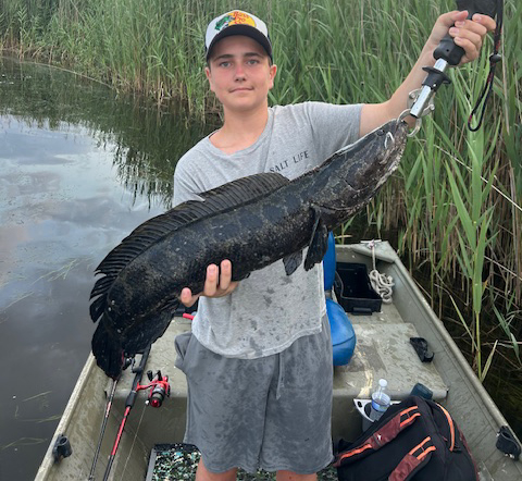 Young man in a small boat in the marshes, holding a fish
